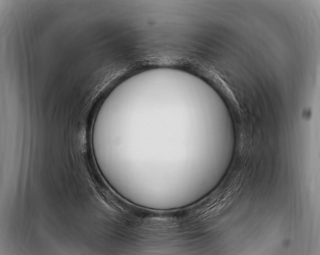 X0000101150251200806270807