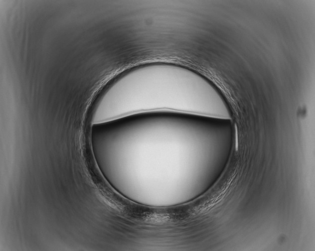 X0000101150252200806270807
