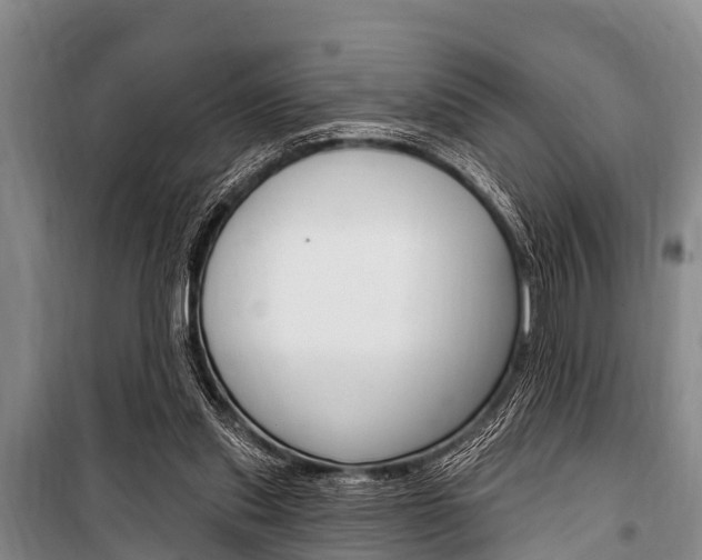 X0000101150253200806270807