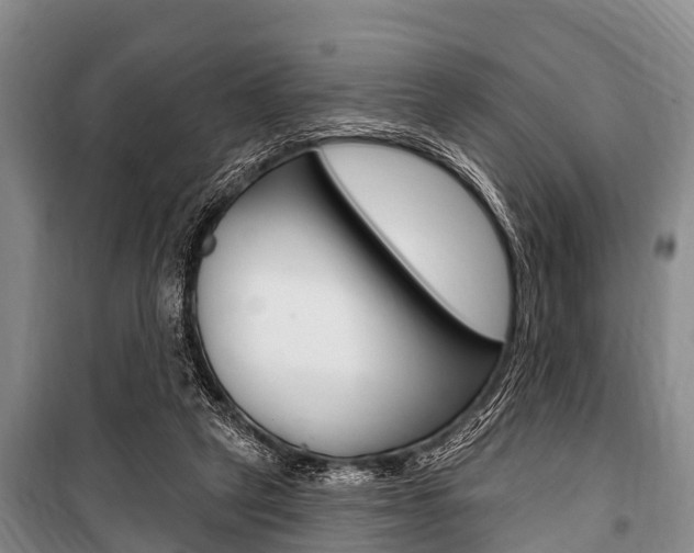 X0000101150257200806270807
