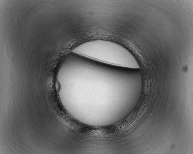 X0000101150259200806270807
