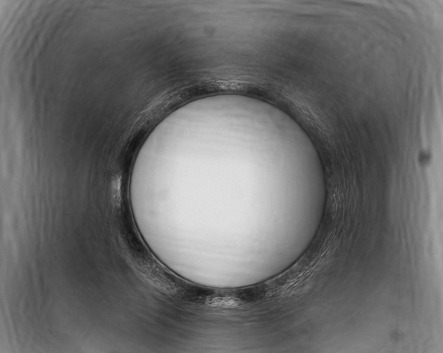 X0000101150262200806270807