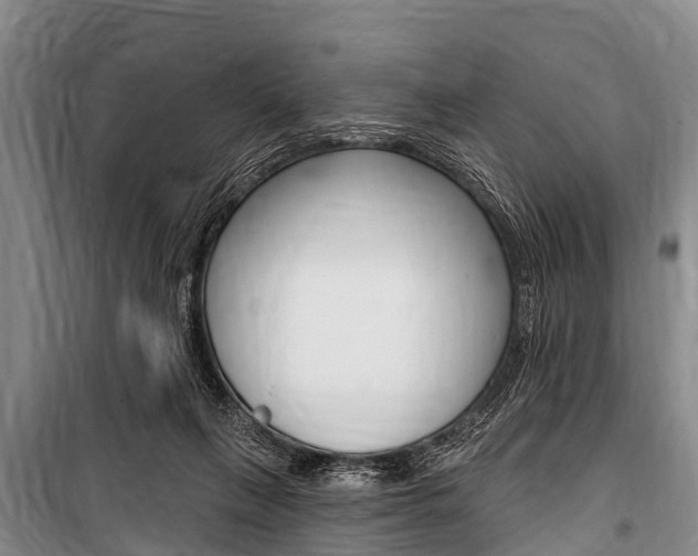 X0000101150263200806270807