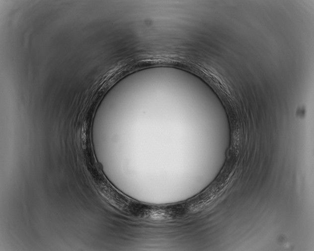X0000101150264200806270807