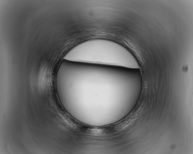 X0000101150265200806270807