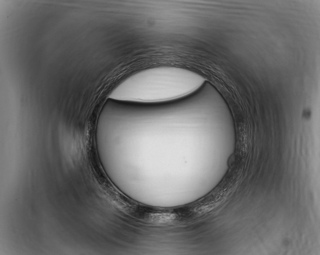 X0000101150266200806270807