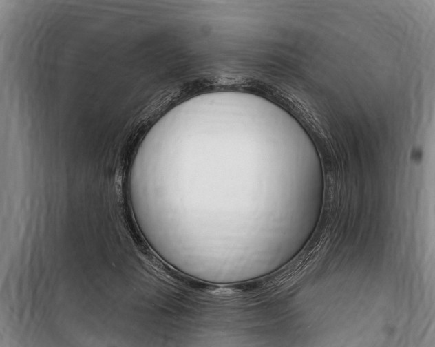 X0000101150269200806270807