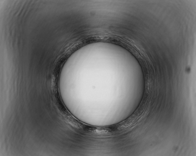 X0000101150270200806270807