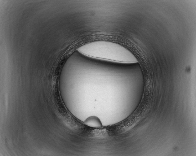 X0000101150271200806270807