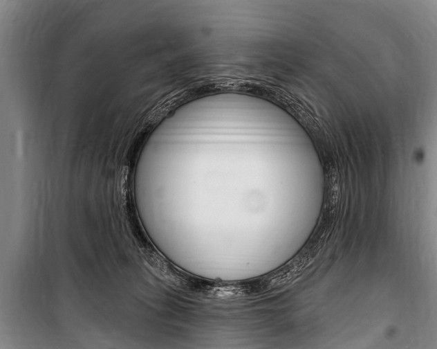 X0000101150275200806270807