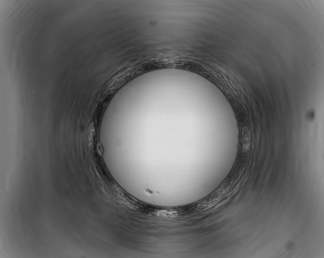 X0000101150279200806270807