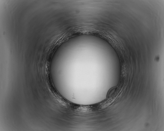 X0000101150280200806270807