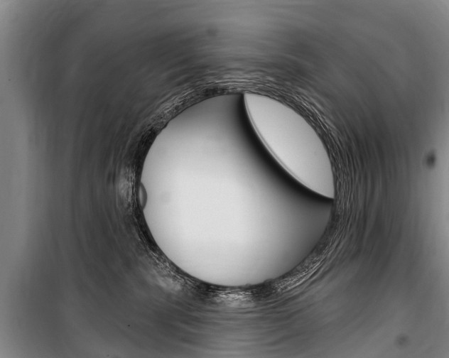 X0000101150283200806270807