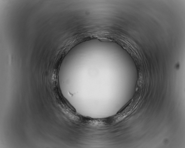 X0000101150284200806270807