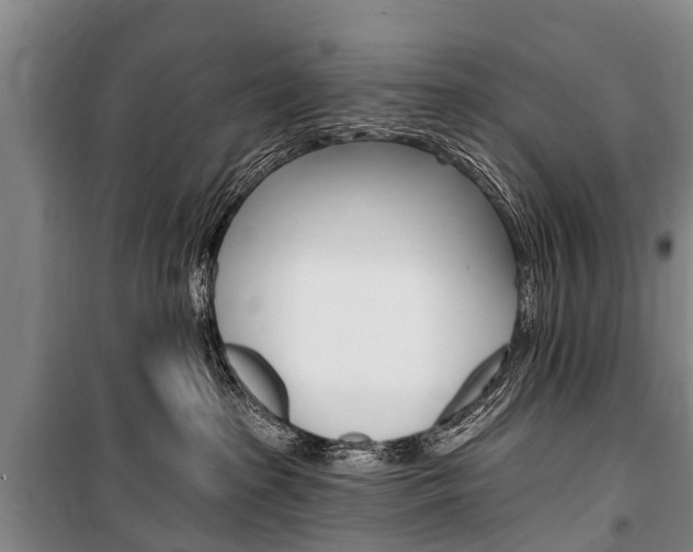 X0000101150285200806270807