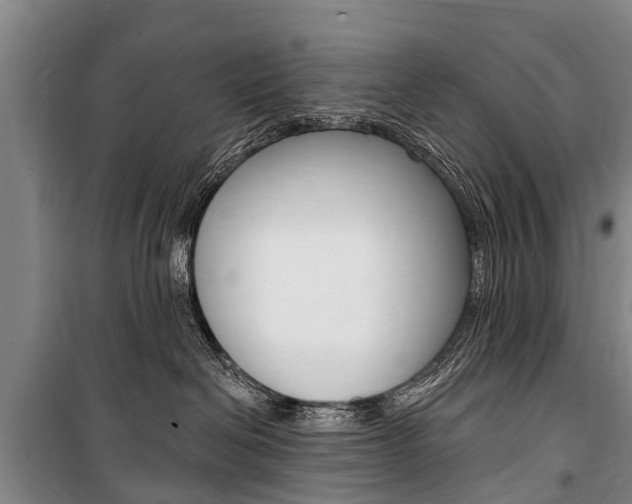 X0000101150286200806270807