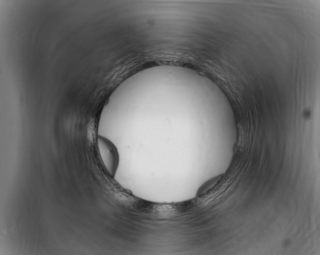 X0000101150287200806270807