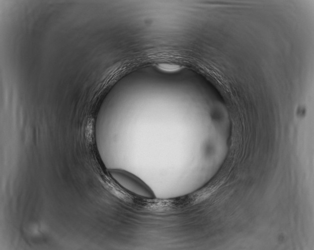 X0000101150288200806270807