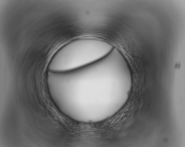 X0000101150289200806270806