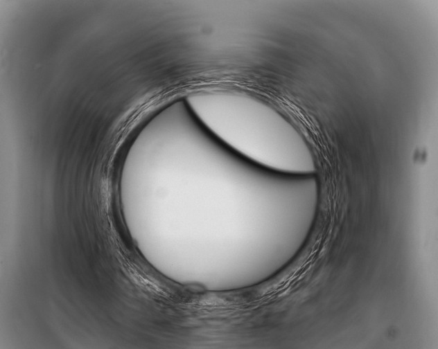 X0000101150290200806270806