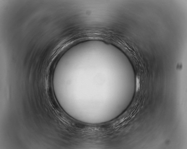 X0000101150291200806270806