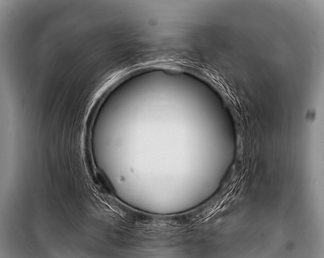 X0000101150292200806270806