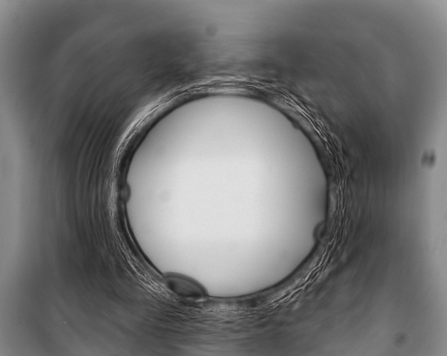 X0000101150293200806270806