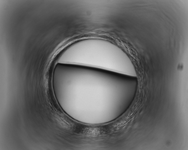X0000101150295200806270806
