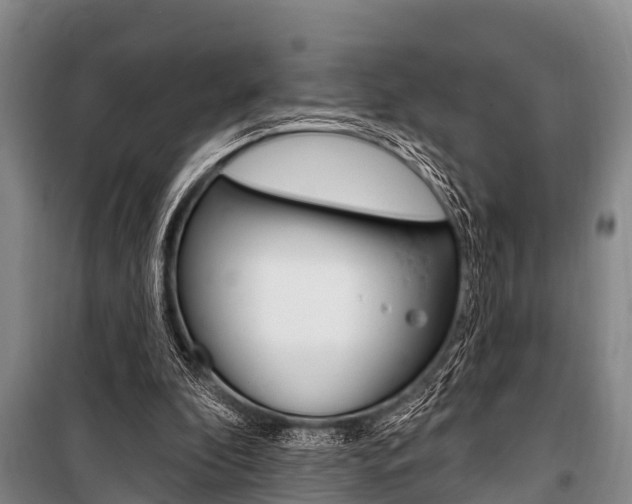 X0000101150296200806270806