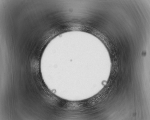X0000101150297200806270806