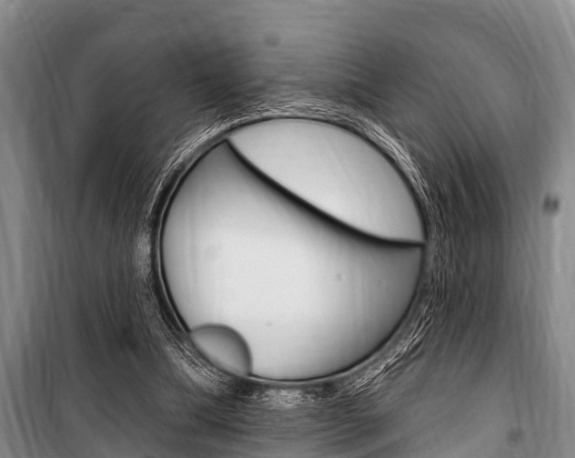 X0000101150298200806270806