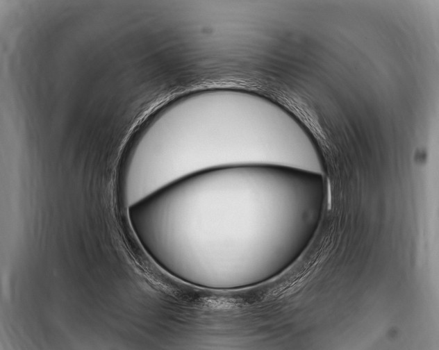 X0000101150300200806270806