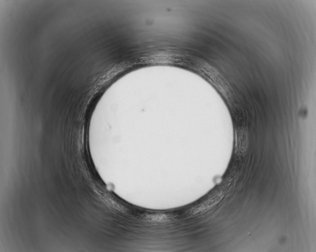 X0000101150301200806270806