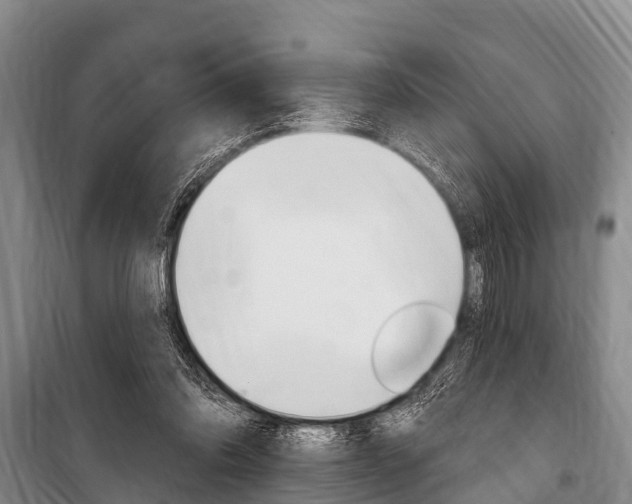 X0000101150302200806270806