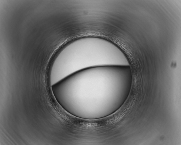 X0000101150304200806270806