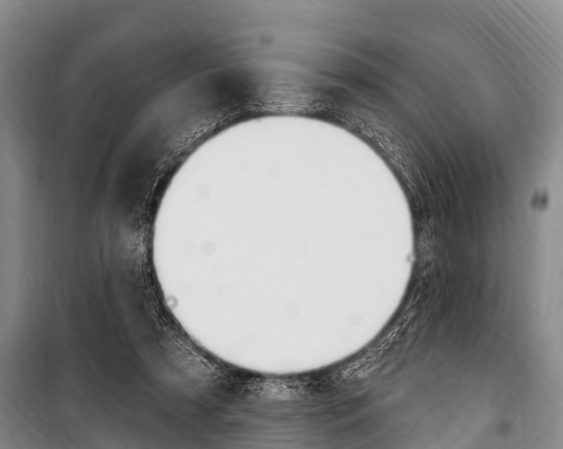 X0000101150305200806270806