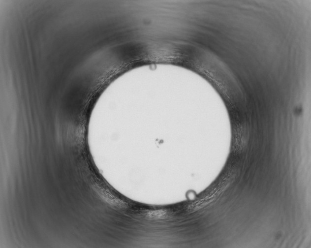 X0000101150309200806270806