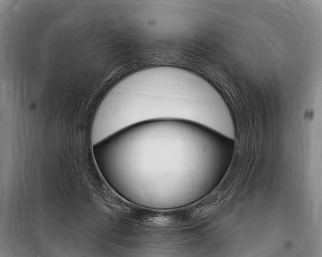 X0000101150312200806270806