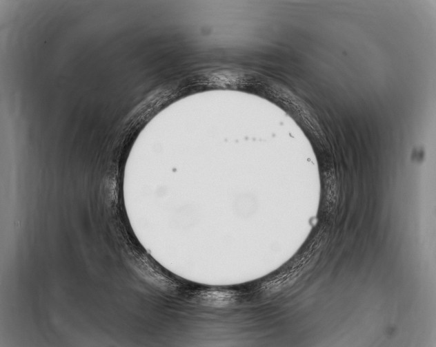 X0000101150313200806270806