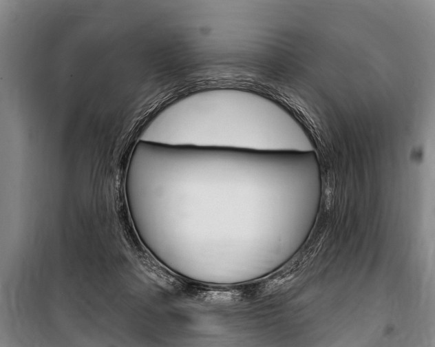X0000101150314200806270806