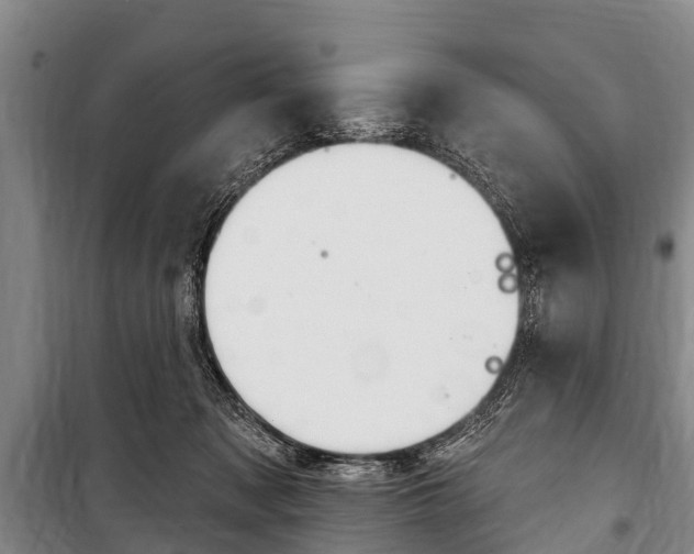 X0000101150317200806270806