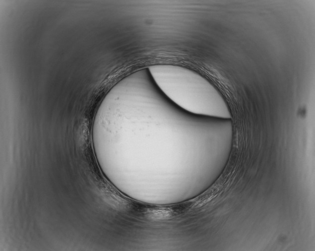X0000101150318200806270806