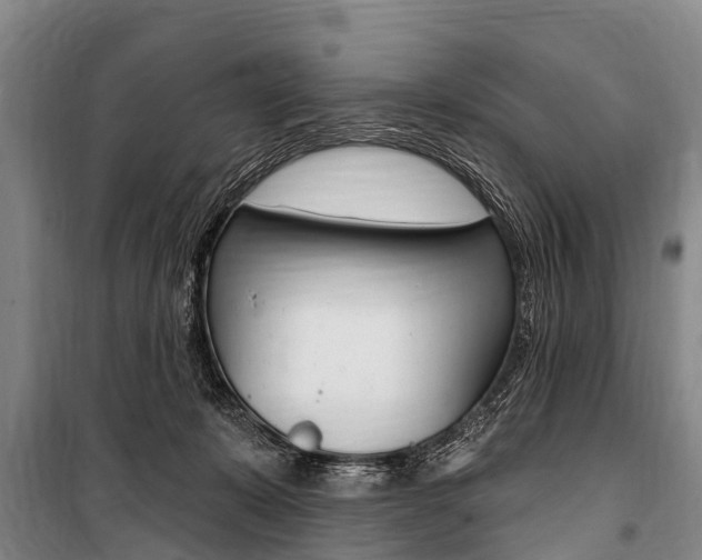 X0000101150319200806270806