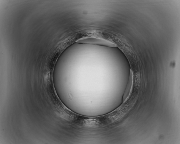 X0000101150320200806270806