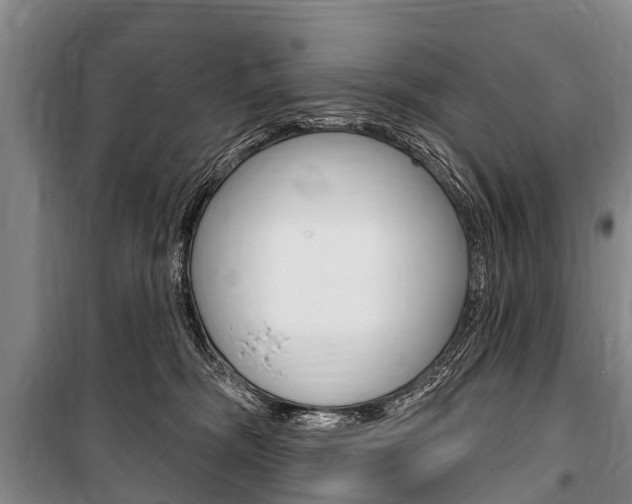X0000101150326200806270806