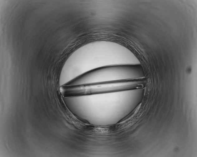 X0000101150328200806270806