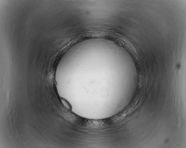 X0000101150329200806270806