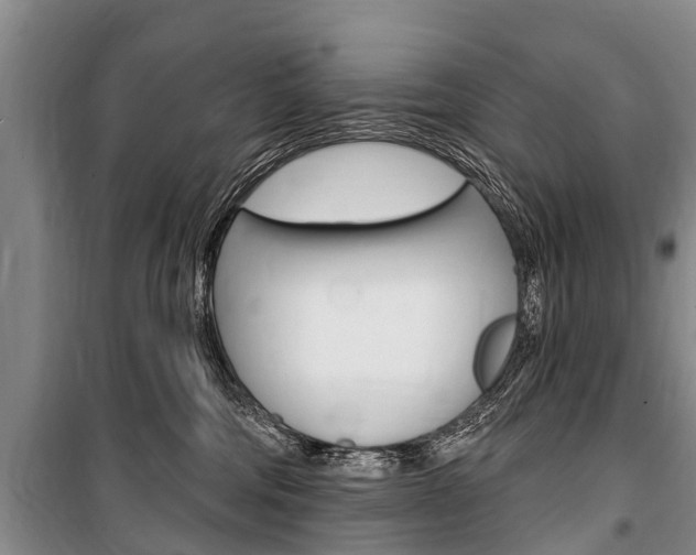 X0000101150330200806270806