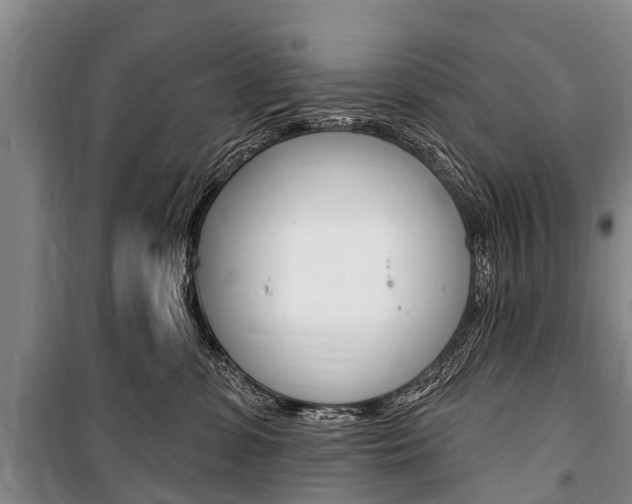 X0000101150331200806270806