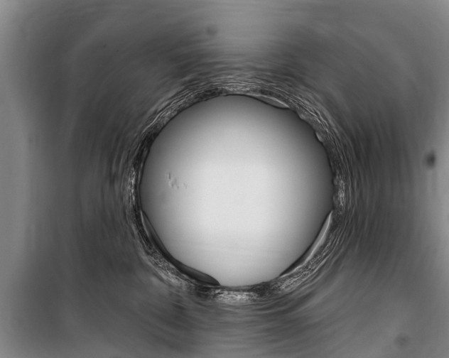 X0000101150332200806270806